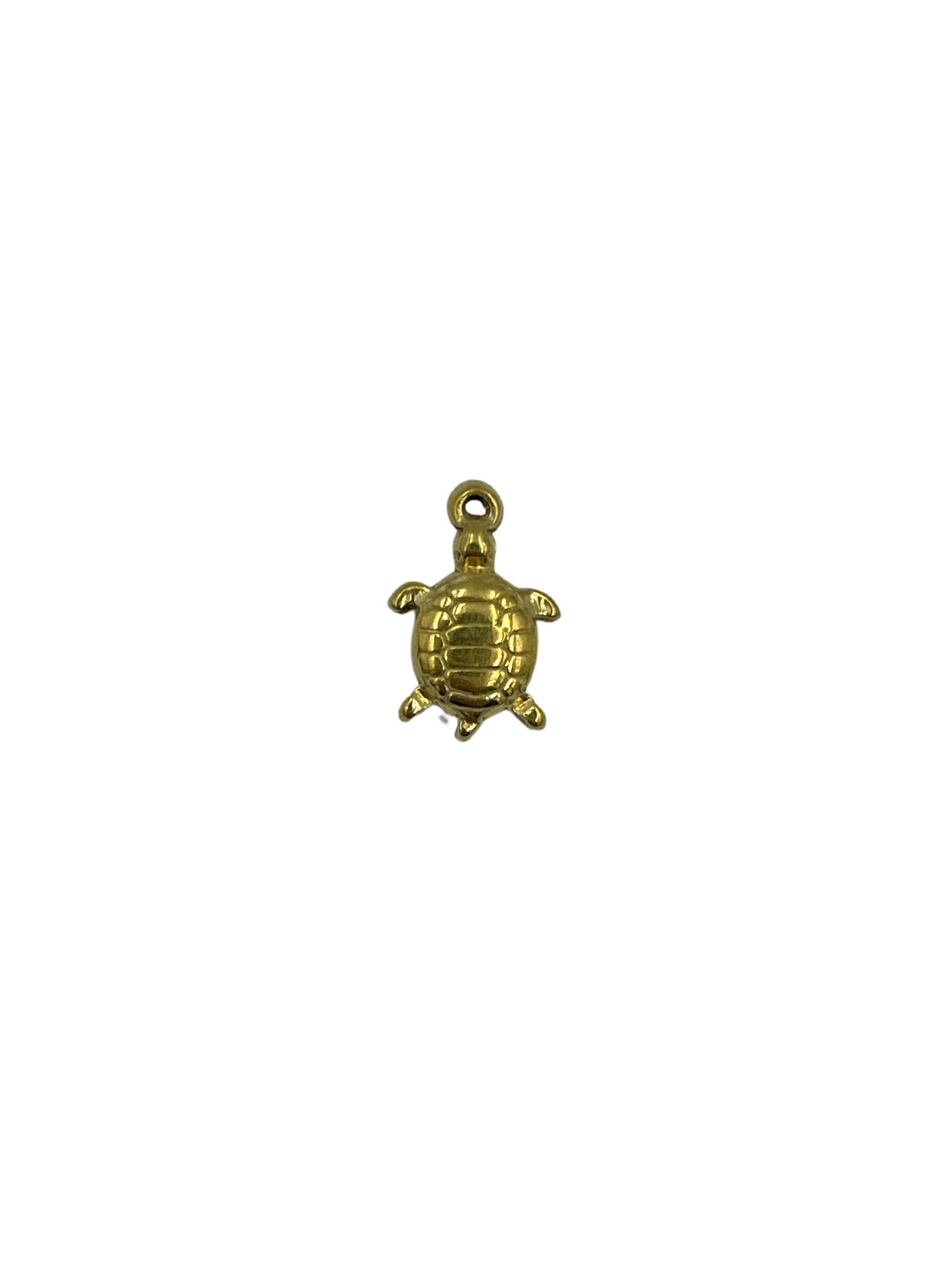 CHARM TORTUE